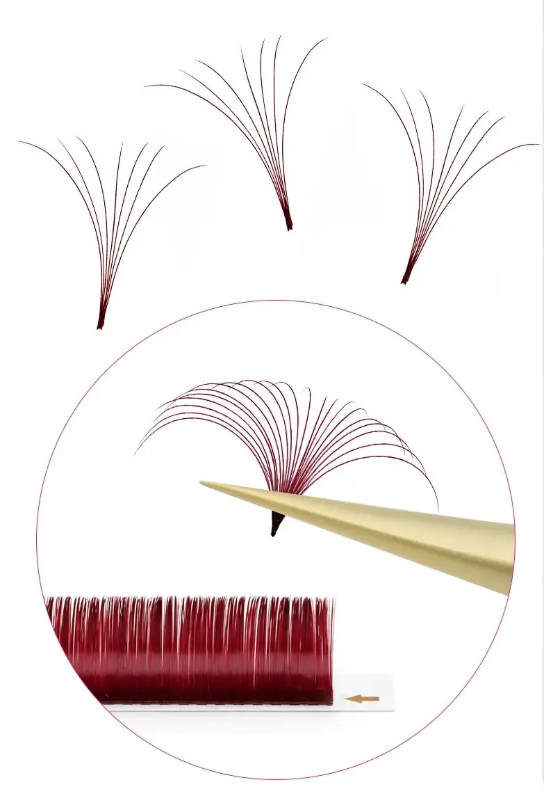 ワインEasy Fan Lash